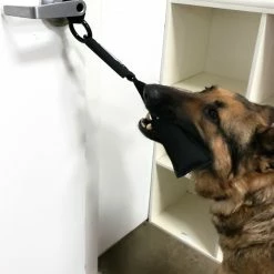 Open Task Training Carabiner -Agility Shop 708247 104 full 90512.1638911422