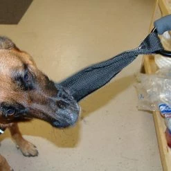 Open Task Training Carabiner -Agility Shop 708247 112 full 34862.1638911409