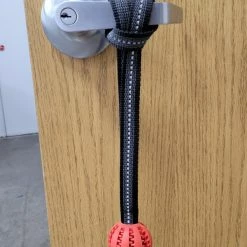 Open Command Training Ball -Agility Shop 708249 4 full 68210.1638911492