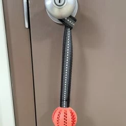 Open Command Training Ball -Agility Shop 708249 8 full 47574.1646861104