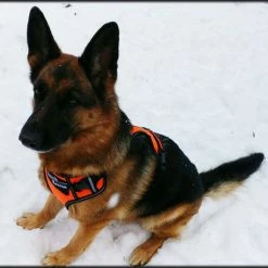 Search & Rescue Reflective Padded Tracking Harness -Agility Shop 757544 8 full 81371.1638911518