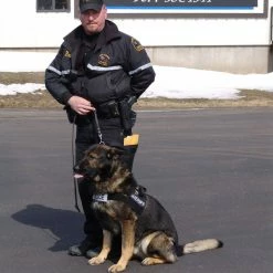 Nylon Patrol Harness -Agility Shop 763055 1 full 45777.1638911442