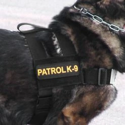 Nylon Patrol Harness -Agility Shop 763055 3 full 94305.1638911446