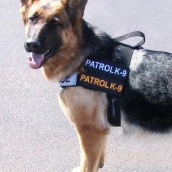 Nylon Patrol Harness -Agility Shop 763055 4 full 15219.1638911454