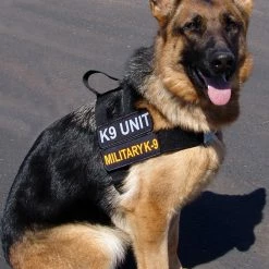 Nylon Patrol Harness -Agility Shop 763055 5 full 35306.1638911451