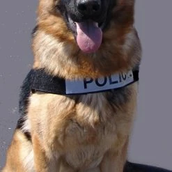 Nylon Patrol K9 Harness W/ GT Buckle -Agility Shop 763055 6 full 60517.1638911496