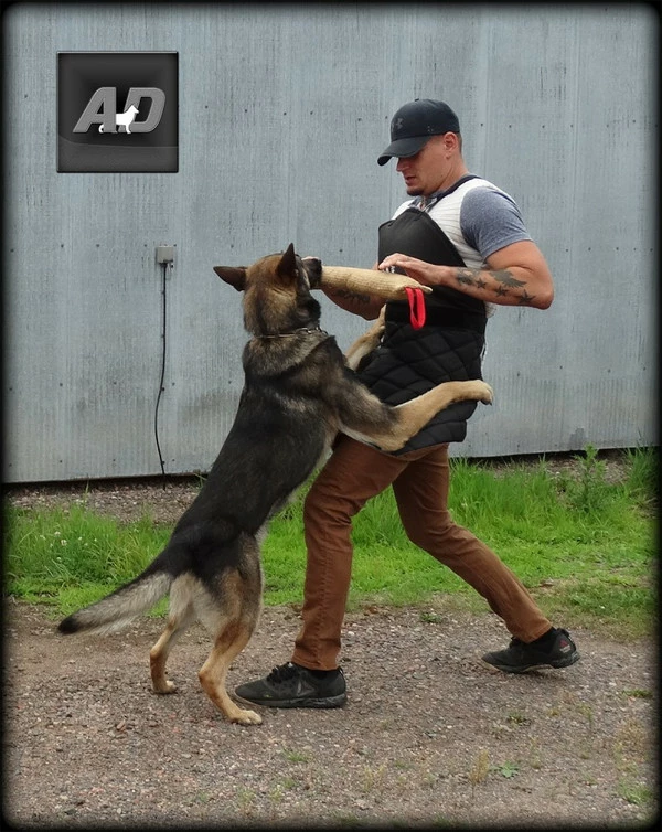 Fabric Scratch Apron 2 Fabric Scratch Apron - Image 2