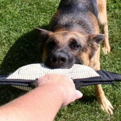 Jute Bite Pillows -Agility Shop 802592L 100 full 32545.1638911542