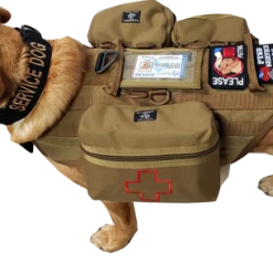 CaliberDog K9 Tactical MOLLE Vest -Agility Shop 842001 101 full 50325.1638911442