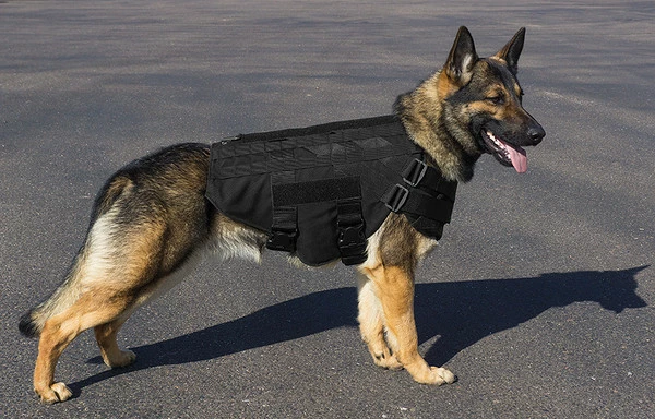 CaliberDog K9 Tactical Ballistic Vest Level III-A 6 CaliberDog K9 Tactical Ballistic Vest Level III-A - Image 6