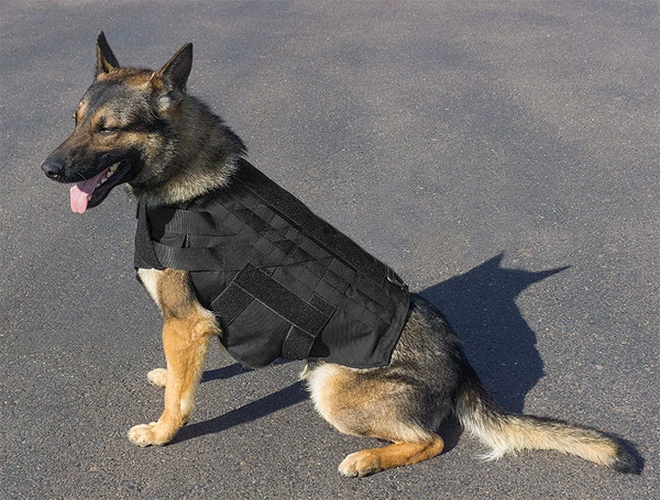 CaliberDog K9 Tactical Ballistic Vest Level III-A 4 CaliberDog K9 Tactical Ballistic Vest Level III-A - Image 4