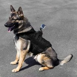 CaliberDog MOLLE Raised Camera Back Mount -Agility Shop 842016 7 full 67180.1638911456