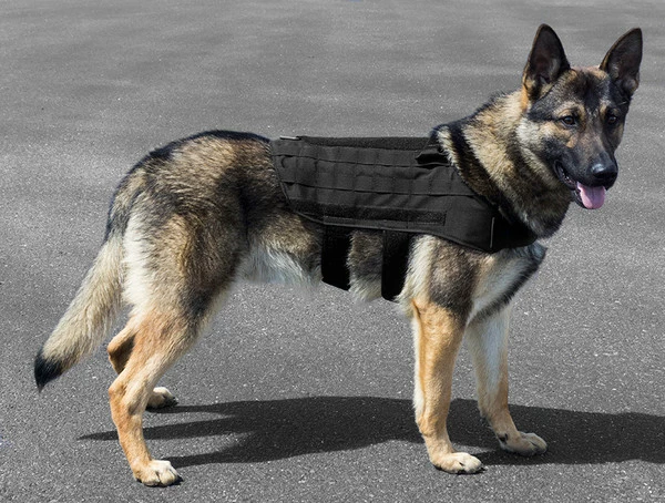 CaliberDog Tactical Light Duty MOLLE Harness 2 CaliberDog Tactical Light Duty MOLLE Harness - Image 2