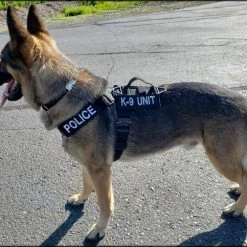 CaliberDog K9 Tactical Harness 43 CaliberDog K9 Tactical Harness -Agility Shop 843405 21 full 30351.1638911516