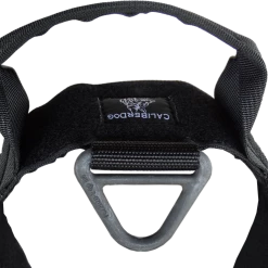 CaliberDog ID Collar With Cobra Buckle & Handle -Agility Shop 844102 7 full 22827.1638911490