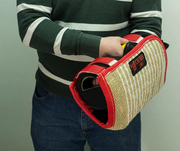 CaliberDog Short Sleeve 15 CaliberDog Short Sleeve - Image 15