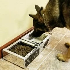 Personalized Water & Food Bowl Set -Agility Shop 990909 2 full 33208.1638911489