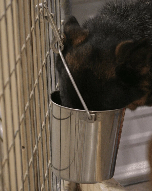 Stainless Steel Flat Sided Pails 3 Stainless Steel Flat Sided Pails - Image 3