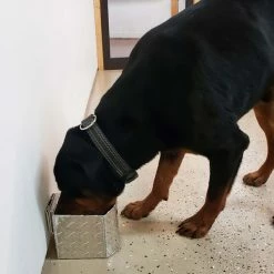 Aluminum Spill Proof Dog Bowls -Agility Shop 992059 150 full 97630.1644842020