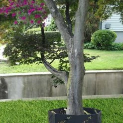 Metal Fire Ring - Tree Ring/Base - Dog Breed Specific -Agility Shop 997162 5 91603.1649066754