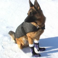 Ultimate Dog Boots (Set Of 2) -Agility Shop BotEd15b full 87050.1638911518