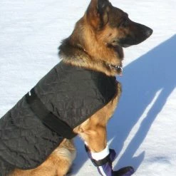 Ultimate Dog Boots (Set Of 2) -Agility Shop BotEd16 full 92727.1638911507