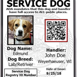 ActiveDogs Registered Service Dog Photo ID Card + Clip-On ID Carrier + FREE Digital ID Copy -Agility Shop IPhone ID 90768.1656416744