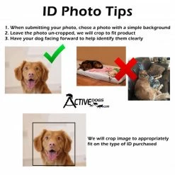 Registered Service Dog ID Card + Clip-On ID Carrier + Free Digital Copy -Agility Shop PhotoTips full 44775.1656416632