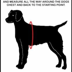 Padded Air-Tech Service Dog Harness Vest - 13 Color Variety -Agility Shop SizeChart full 39883.1638911456