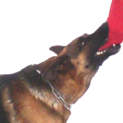 Bite Suite Synthetic Bite Wedge -Agility Shop TCED 70791.1645025332