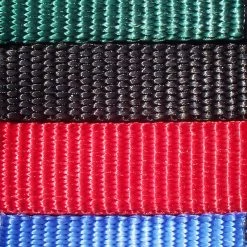 Agility Shop -Agility Shop color full 89329.1638911375