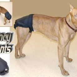 Set Of 3 Fancy Pants Diapers -Agility Shop fpAD4 72115.1638911360