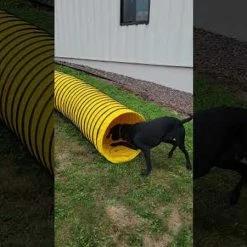 Agility Heavy Duty Dog Tunnel 24" X 20' -Agility Shop hqdefault 13682.1652382131
