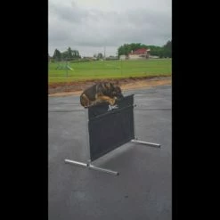 IPO/IGP/Schutzhund Aluminum Pendel Hurdle Jump -Agility Shop maxresdefault 37237.1646860625