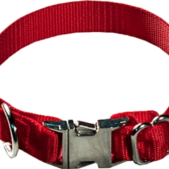 Nylon Dog Collars - 1"