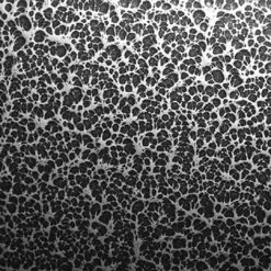 Powder Coated Full Vent Dog Crate -Agility Shop powdercoatpic full 24219.1638911414