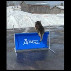 IGP/IPO/Schutzhund Aluminum Standard Hurdle Jump -Agility Shop sddefault 00413.1655118299