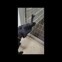 Open Command Training Ball -Agility Shop sddefault 81751.1646861104