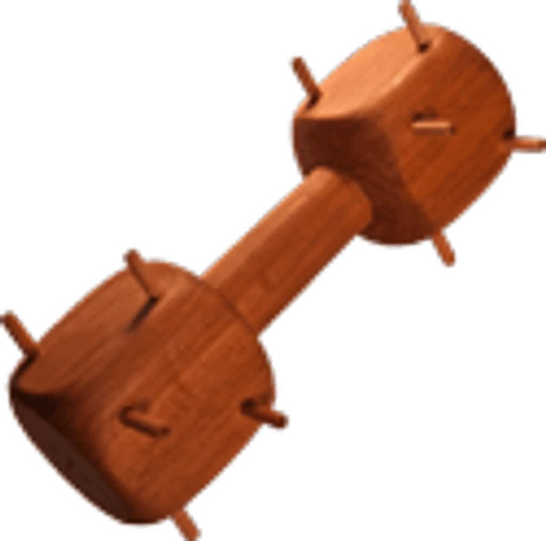 Thorn Training Dumbbell 1 Thorn Training Dumbbell