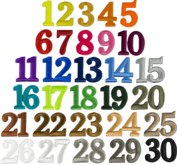 Custom Logo S&R Style Vest 4 Custom Logo S&R Style Vest - Image 4